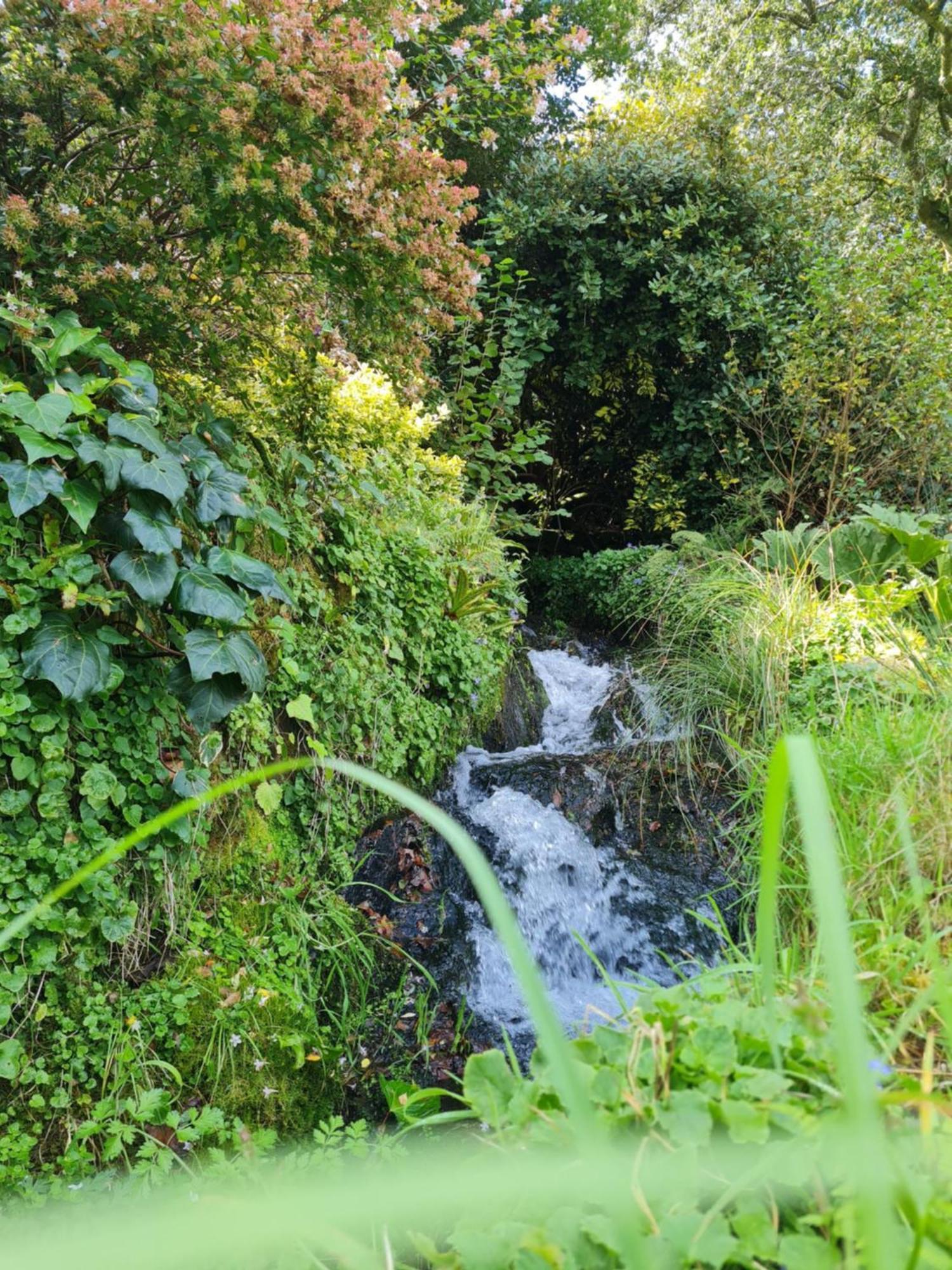Moulin De Bonnescat Villa Plogonnec Exterior photo